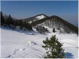 Javornik above Črni vrh